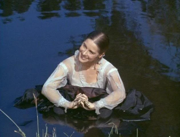 bonanza ladies shawls