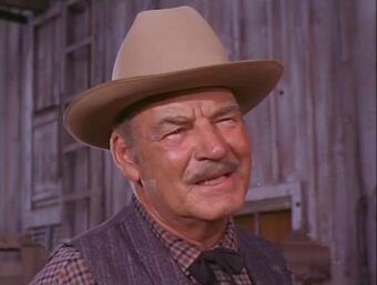 Ray Teal | Bonanza Wiki | Fandom