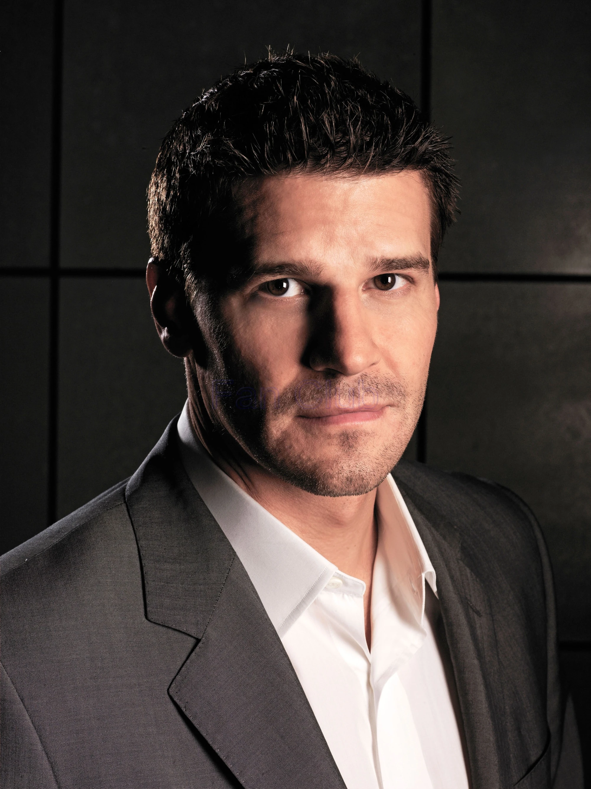 Seeley Booth Bones wiki FANDOM powered by Wikia