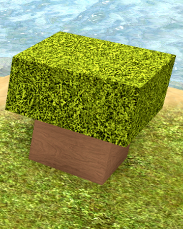 Grass Island Booga Booga Roblox Wiki Fandom New Code In Lawn Mowing Simulator - ooga booga roblox wiki