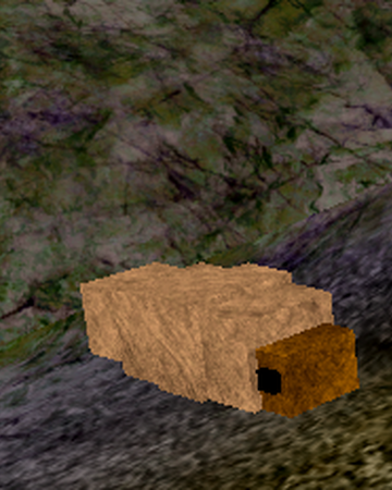 The Map Of Booga Booga Caves In Roblox