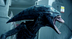 Alien16