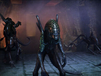 Alien15