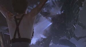Alien 25