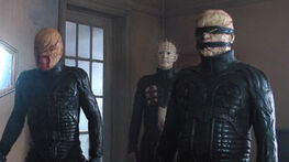 Pinhead 14