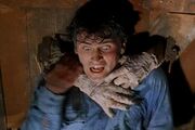 Ash attack