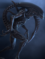 Alien13