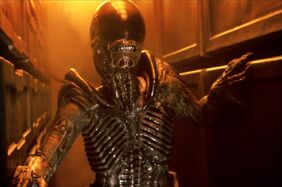 Alien28