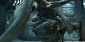 Alien17