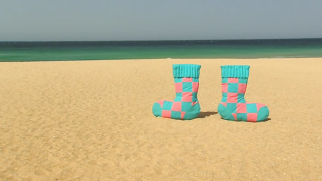 File:008 Squeaky Socks.png