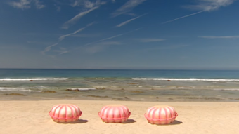 Pearly Shells Boohbah Wiki Fandom
