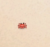 Ice Crab 030116