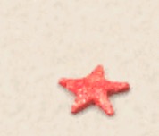 Ice Starfish 030116