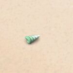 Ice Seashell 090116