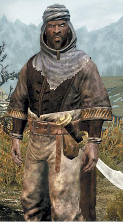 Alikrbeserker