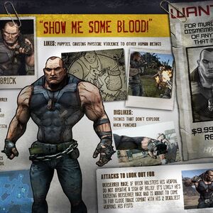 Brick Borderlands Wiki Fandom