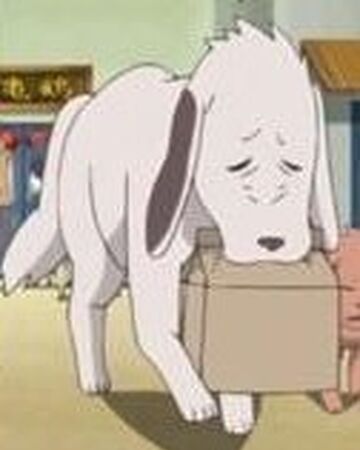 Akamaru Boruto Wiki Fandom