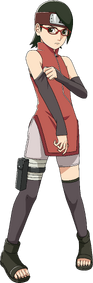 Sarada appearance