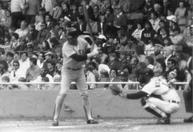 Yaz Batting