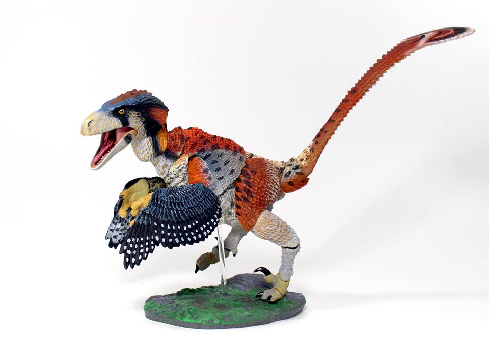 Dromaeosaurus albertensis (Fans Choice)/Gallery | Beasts of the ...