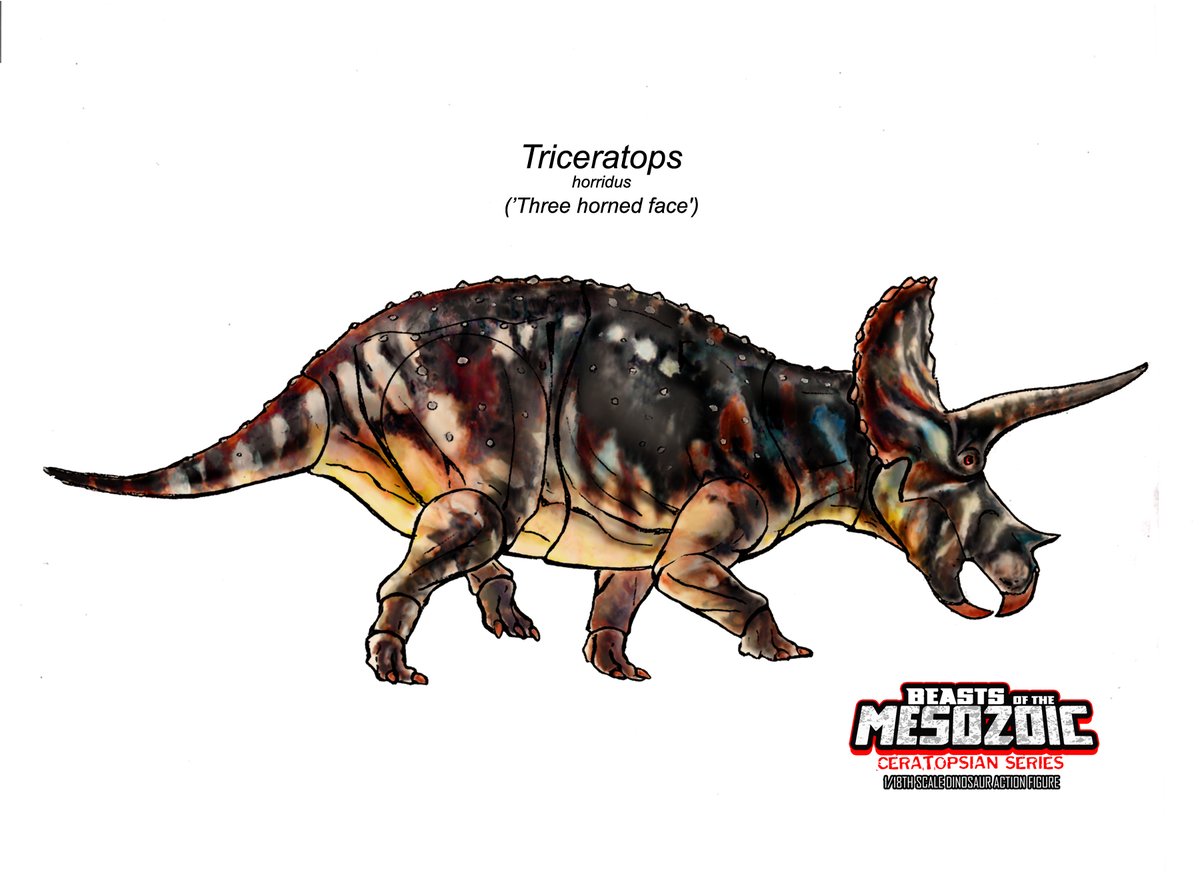 triceratops a