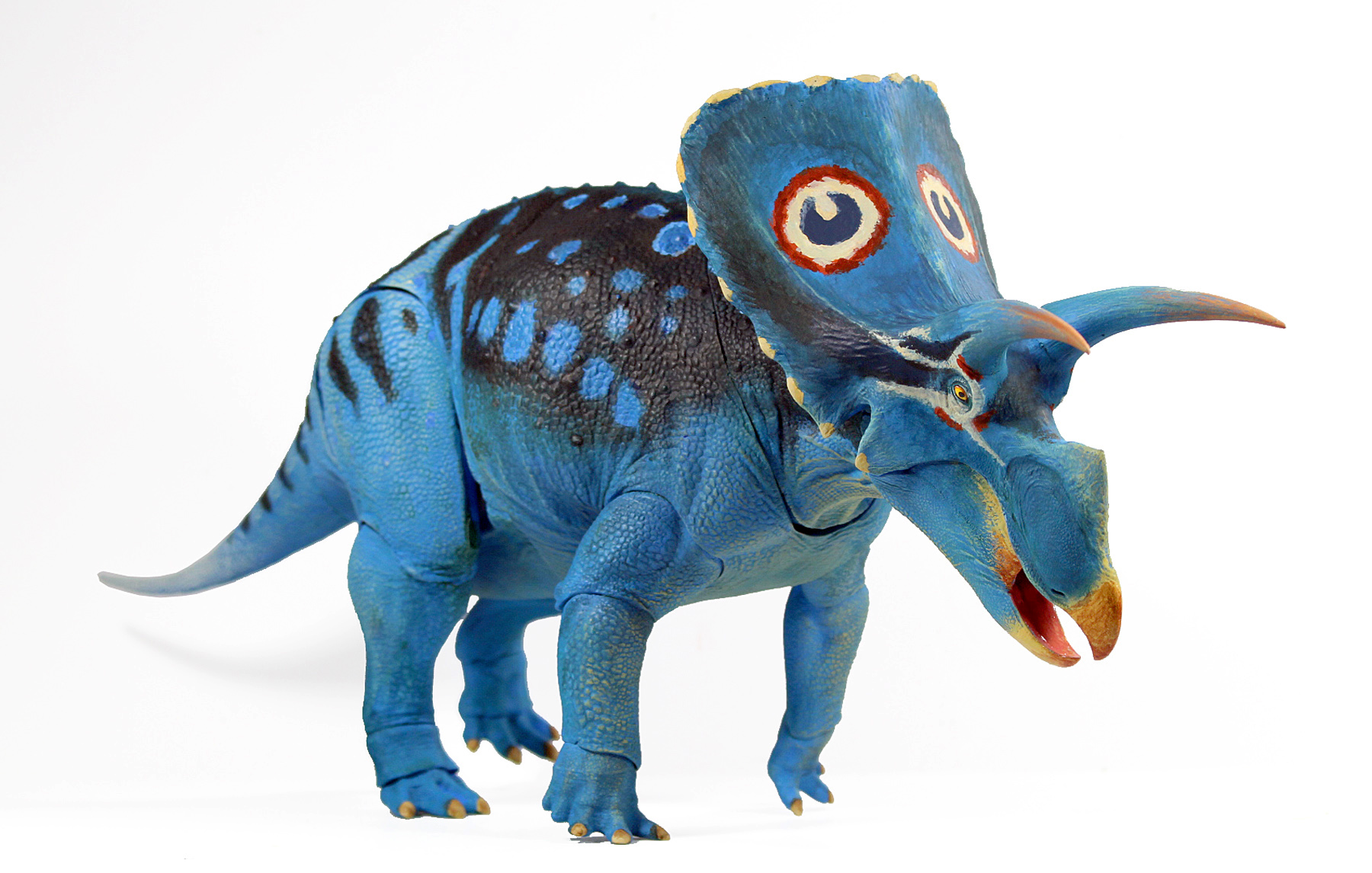 torosaurus fossil