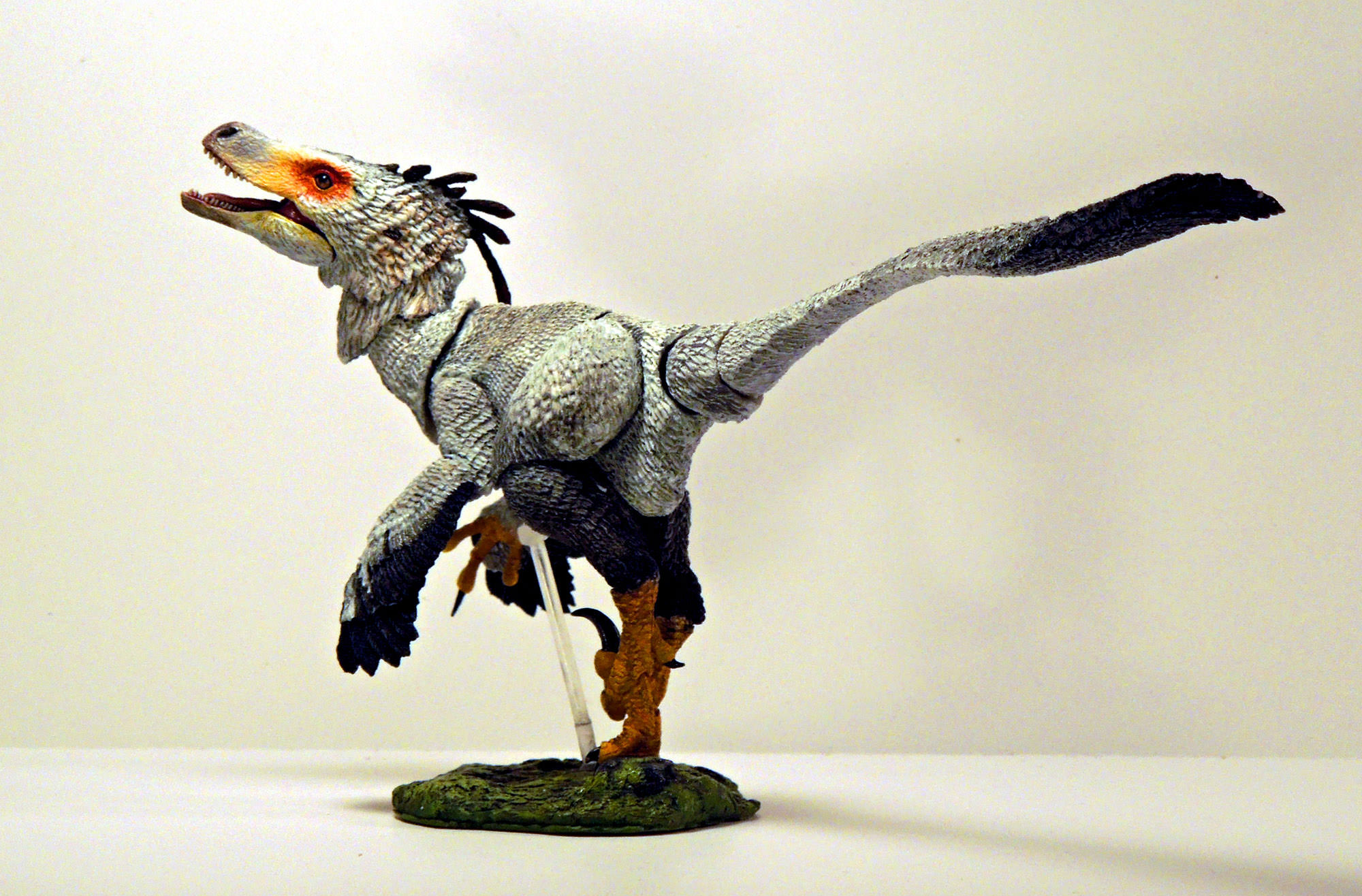 Beasts of the Mesozoic Saurornitholestes sullivani