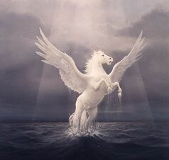 Pegaso2