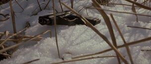 Cz snow