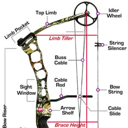 Compound Bows Bowpedia Wiki Fandom