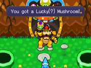 Bowser 3