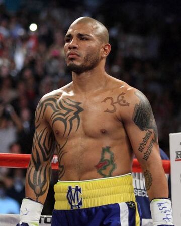 Miguel Cotto Boxing Wiki Fandom