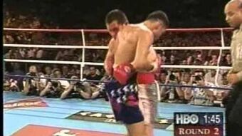 Julio Cesar Chavez Boxing Wiki Fandom