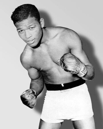 Sugar Ray Robinson Boxing Wiki Fandom