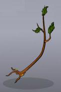 Uprooted Tree