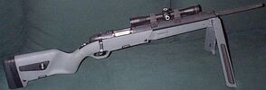 Scout 1