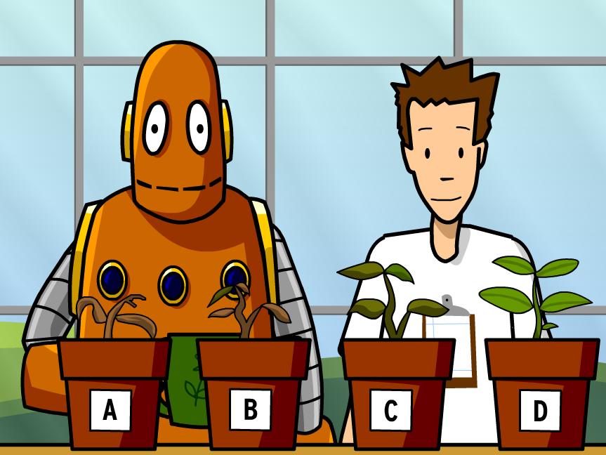 Scientific Method Brainpop Quiz Answers