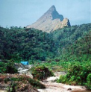 Pico da Neblina