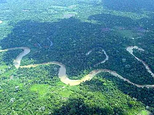 Image result for amazonia brasileira