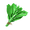 Green grass