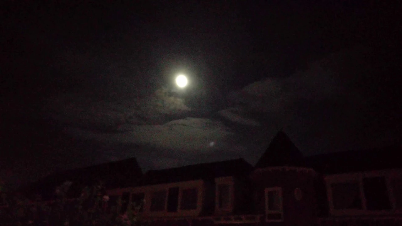 Moonlight Top 2721 main image 1