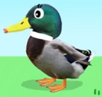 JennyQuacklesPilot