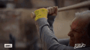 BCS 310 gif 04