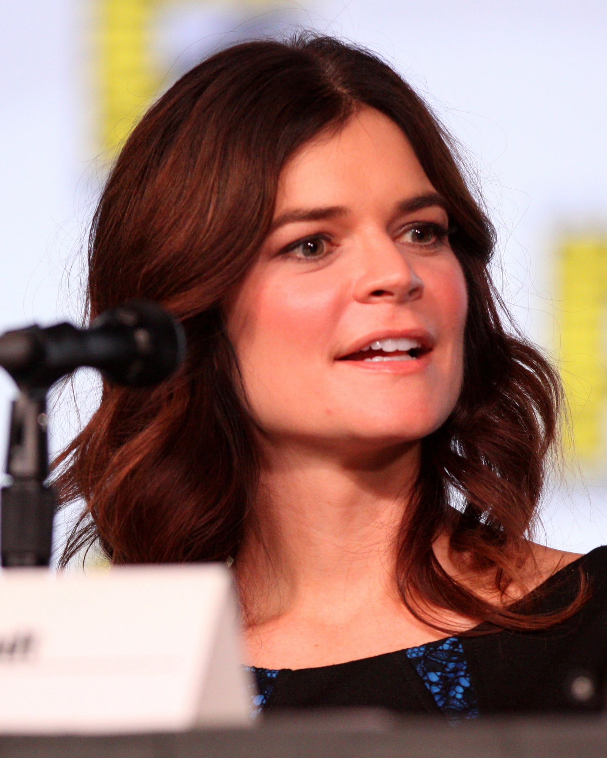 Betsy Brandt Breaking Bad Wiki Fandom Betsy Brandt Breaking Bad Wiki Fandom