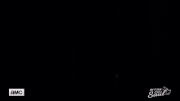 BCS 310 gif 03