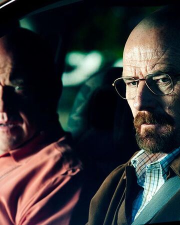 Bug Breaking Bad Wiki Fandom