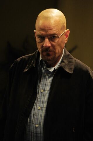 File:WaltS3 6.jpg