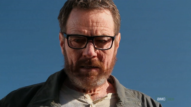 File:5x1 Walt looks at trunk.png