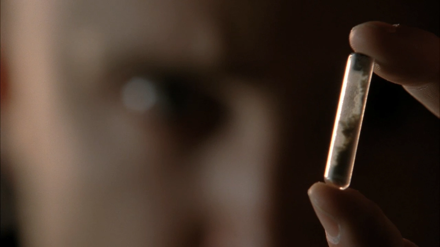 Ricina Breaking Bad Wiki FANDOM powered by Wikia