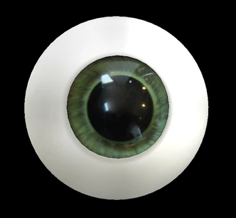 breaking bad bear in pool